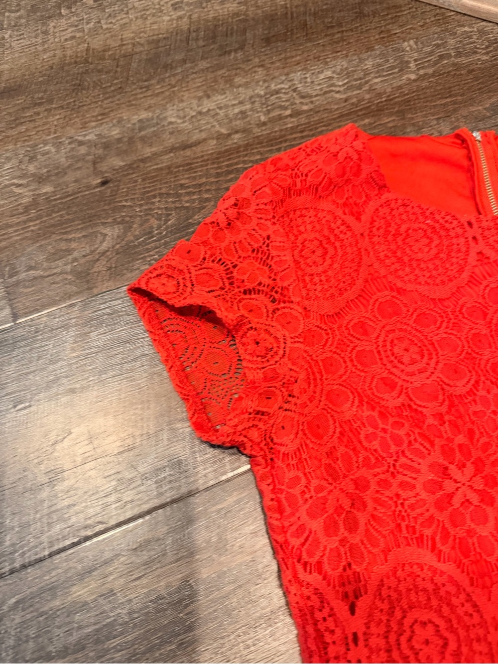 Laundry by Shelli Segal Lace Sheath Dress Size 6 Coral Red Scalloped Hem - Picture 4 of 8